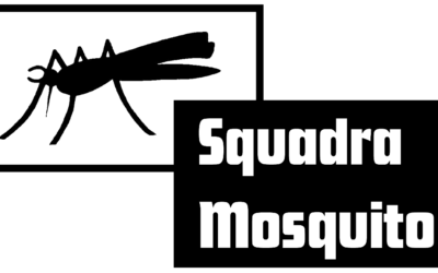 IKSM Automobil Slalom Wangen/SZ, 26. Okt. 2025